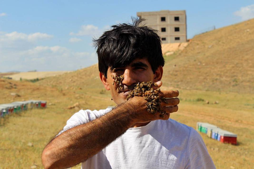 Arılarla dans eden adam: Kovanların yeni süper kahramanı! Bal gibi insan, arıların yakın dostu 7